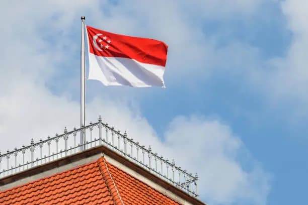 singapore flag image